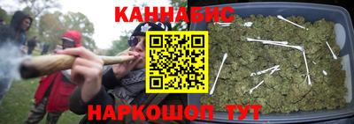 индика Кунгур