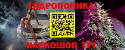 индика Кунгур
