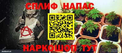 индика Кунгур