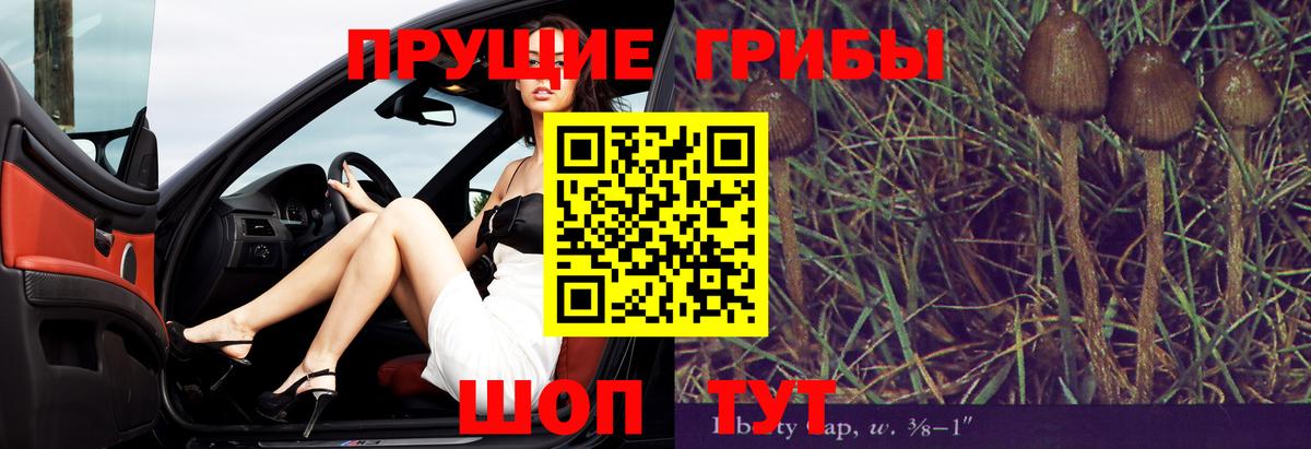 Кандалакша  Галлюциногенные грибы MAGIC MUSHROOMS  Вход с VPN 